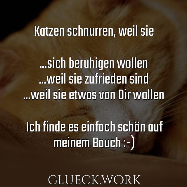 Katzen schnurren, weil sie

...sich beruhigen wollen
...weil sie zufrieden sind
...weil sie etwas von Dir wollen

Ich finde es einfach schön auf 
meinem Bauch :-)